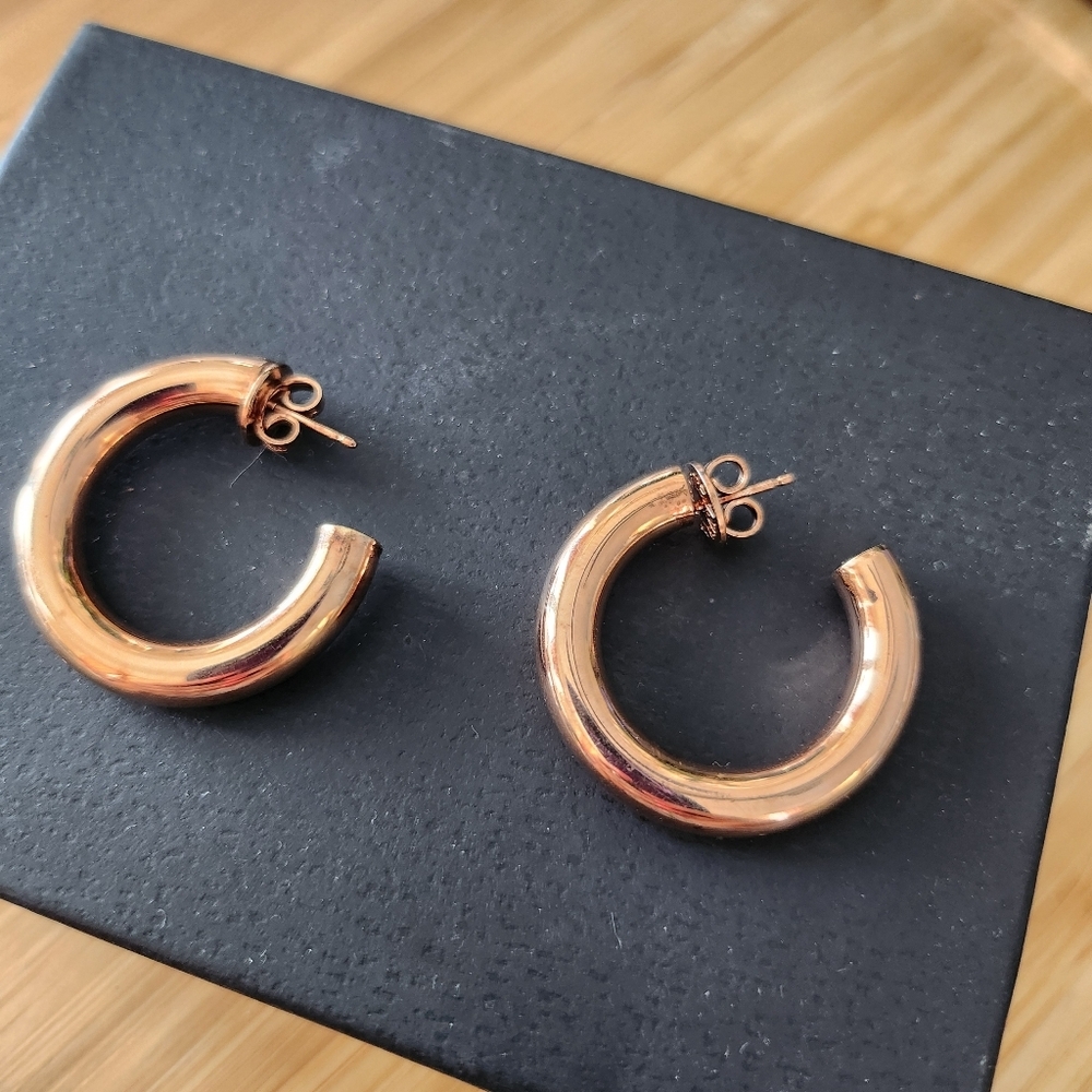 Aristrocrazya 925 sterling silver gold plated earrings